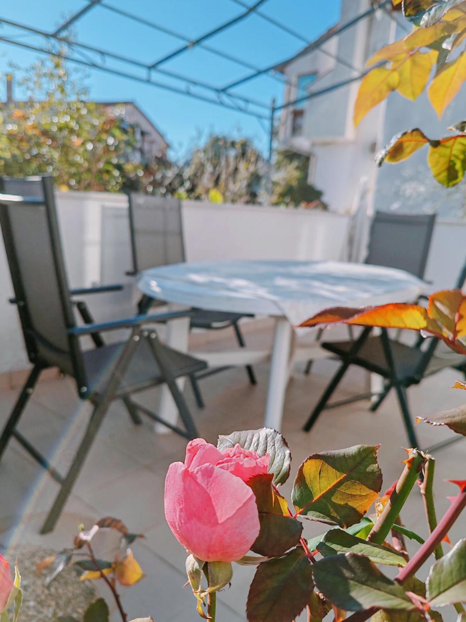 Marko Apartment Rovinj Kültér fotó